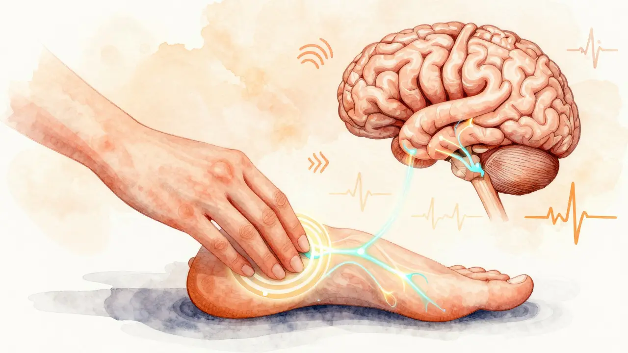 Ruce provádějí jemné osmičky na klenbě chodidla, s viditelnými nervovými cestami spojujícími kůži s mozkem.
